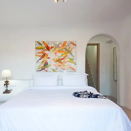 Villa Mykonos Panormos *