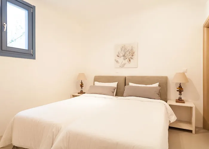 Villa Mykonos Panormos &